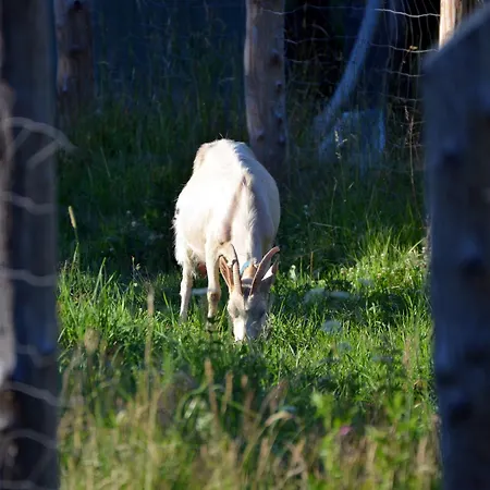 Osada Solasu Vakantiehuis *