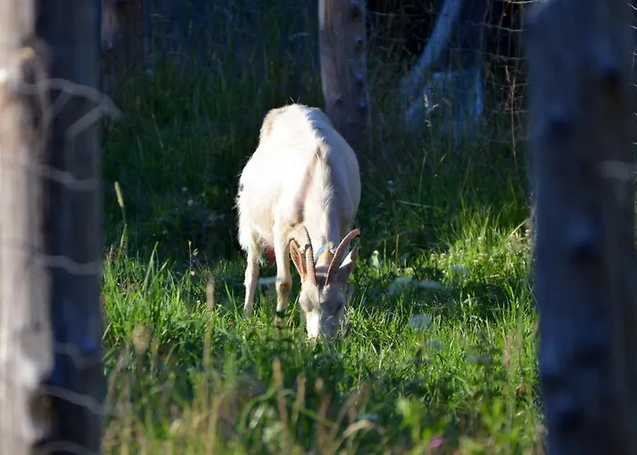 Osada Solasu Σπίτι διακοπών *